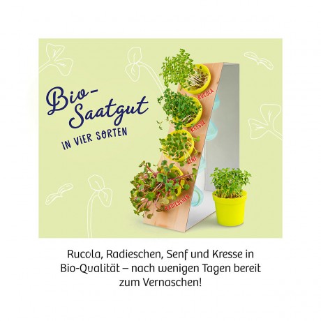 Kosmos Microgreen-Garten Микрозеленый сад