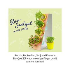 Kosmos Microgreen-Garten Микрозеленый сад