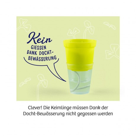 Kosmos Microgreen-Garten Микрозеленый сад