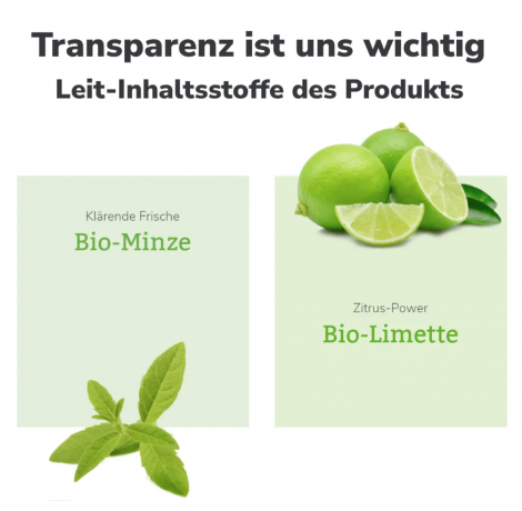 Lavera Shampoo Frische & Balance, Лавера Шампунь Свежесть и Баланс с органической мятой и органическим лаймом  для жирных волос, 250 мл