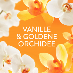 Lenor Wascheparfum Orchidee &amp; Vanille 155g, Ленор Парфюм для стирки в гранулах Орхидея и ваниль, 155г 