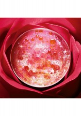 LANCOME ABSOLUE SOFT CREAM SCHUTZENDE TAGESPFLEGE Gesichtscreme - ABSOLUE SOFT CREAM ЗАЩИТНЫЙ ДНЕВНОЙ УХОД крем для лица