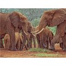 CALVENDO Puzzle CALVENDO Puzzle Elefantenherde Пазл CALVENDO Пазл стадо слонов