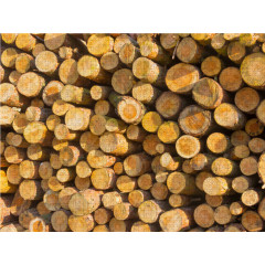 CALVENDO Puzzle CALVENDO Puzzle Holzstapel am Wegesrand Пазл CALVENDO Puzzle Куча дров у дороги