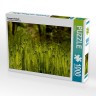 CALVENDO Puzzle CALVENDO Puzzle Farngesellschaft Пазл CALVENDO Puzzle общество папоротников