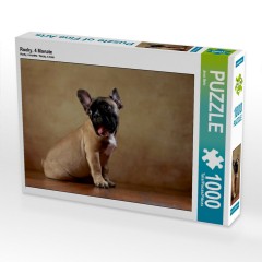 CALVENDO Puzzle CALVENDO Puzzle Rocky Пазл CALVENDO Puzzle Рокки