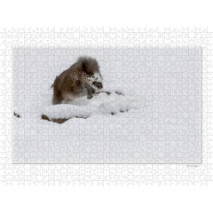 CALVENDO Puzzle CALVENDO Puzzle Emotionale Momente: Das Wildschwein. \/ CH-Version Пазл CALVENDO Пазл Эмоциональные моменты: Кабан. \/ версия CH