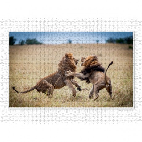 CALVENDO Puzzle CALVENDO Puzzle Emotionale Momente: Grosse Raubkatzen der Welt. Пазл CALVENDO Пазл Эмоциональные моменты: Большие хищники в мире.