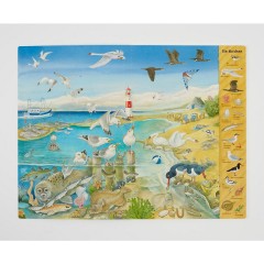 Thienemann Esslinger Verlag Das Riesen-Meer-Wimmelbuch Гигантская книга поиска предметов в море