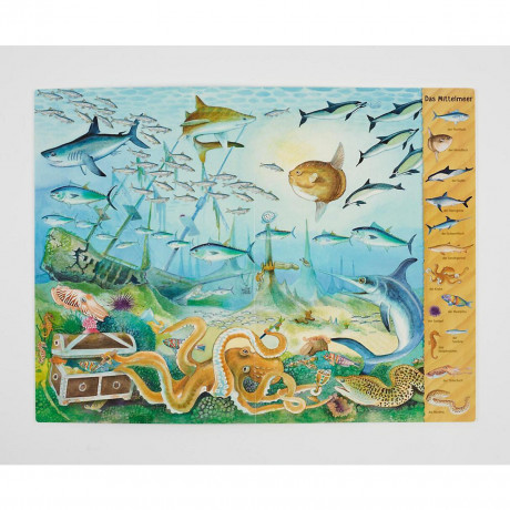 Thienemann Esslinger Verlag Das Riesen-Meer-Wimmelbuch Гигантская книга поиска предметов в море