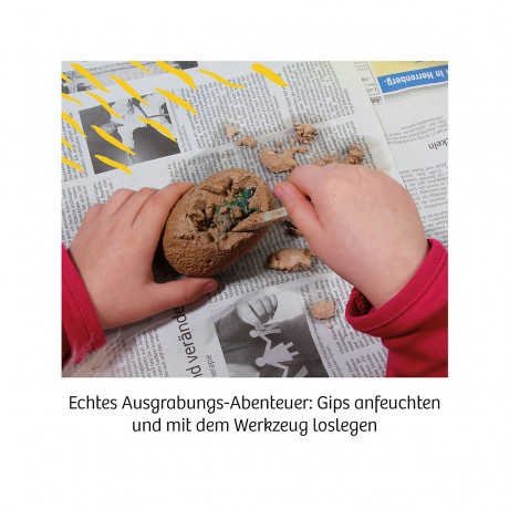 Kosmos Dino-Ei Ausgrabung Раскопки яиц динозавров