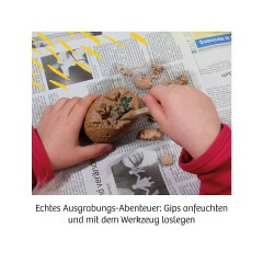 Kosmos Dino-Ei Ausgrabung Раскопки яиц динозавров