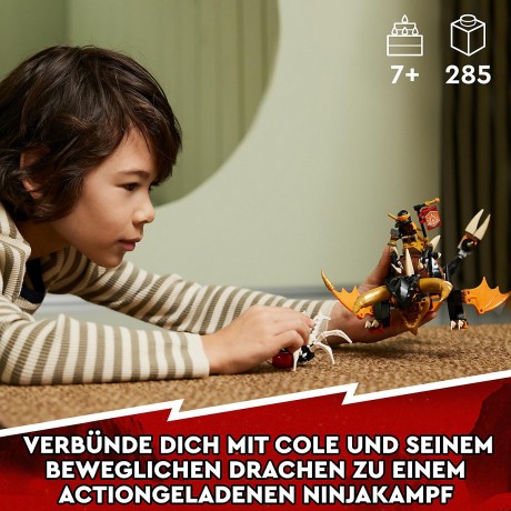 LEGO LEGO Ninjago 71782 Coles Erddrache EVO LEGO Ninjago 71782 Земляной дракон Коула EVO