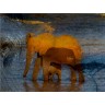 CALVENDO Puzzle CALVENDO Puzzle Emotionale Momente: African Dreams Пазл CALVENDO Puzzle Emotional Moments: African Dreams