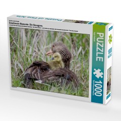 CALVENDO Puzzle CALVENDO Puzzle Emotionale Momente: Die Graugans. Пазл CALVENDO Пазл Эмоциональные моменты: Серый гусь.