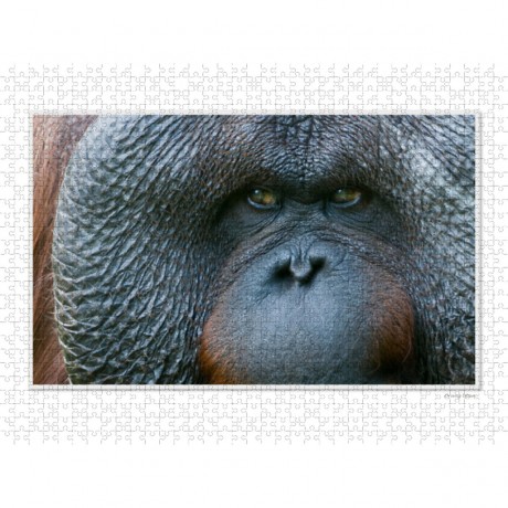 CALVENDO Puzzle CALVENDO Puzzle Emotional Moments: Die Augen der Tiere. UK-Version Пазл CALVENDO Puzzle Emotional Moments: Глаза животных. версия для Великобритании