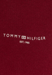 Tommy Hilfiger 1985 MINI CORP LOGO Sweatshirt rouge ЛОГОТИП MINI CORP 1985 – Свитер румяна