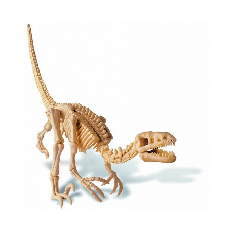 4M KidzLabs KidzLabs