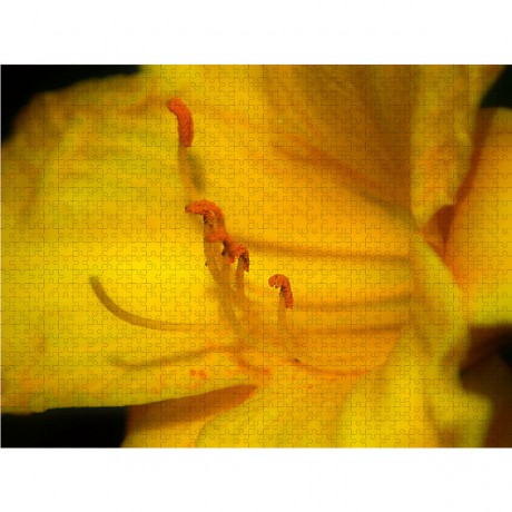 CALVENDO Puzzle CALVENDO Puzzle Lis Butter Pixie Пазл CALVENDO Puzzle Li's Butter Pixie