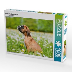 CALVENDO Puzzle CALVENDO Puzzle Niedlicher Boxerwelpe Пазл CALVENDO Puzzle Милый щенок боксера