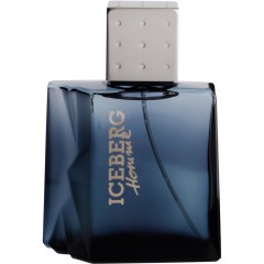 Iceberg Homme Eau de Toilette Туалетная вода Spray Спрей, 100 мл