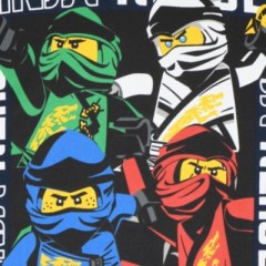 LEGO Sweatshirt fur Jungen Толстовка для мальчиков