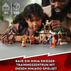 LEGO LEGO Ninjago 71787 Kreative Ninja Steinebox LEGO Ninjago 71787 Творческая коробка с кубиками ниндзя