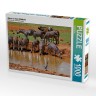 CALVENDO Puzzle CALVENDO Puzzle Zebras in freier Wildbahn Пазл CALVENDO Puzzle Зебры в дикой природе