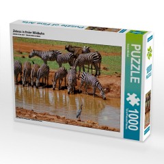 CALVENDO Puzzle CALVENDO Puzzle Zebras in freier Wildbahn Пазл CALVENDO Puzzle Зебры в дикой природе