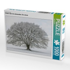 CALVENDO Puzzle CALVENDO Puzzle Eiche in den vier Jahreszeiten. Der Januar. Пазл CALVENDO Пазл Дуб в четыре сезона. Январь.
