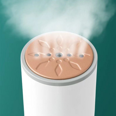 GelldG GelldG Dampfburste Dampfglatter 1200W, Handdampfbugler mit 200ml Wassertank  Паровая щетка GelldG, парогладкая машина, 1200 Вт, ручной отпариватель с резервуаром для воды на 200 мл.