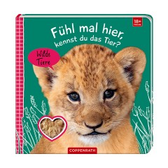 Coppenrath Verlag Fuhl mal hier Почувствуй себя здесь