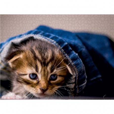 CALVENDO Puzzle CALVENDO Puzzle Endlich den Ausgang gefunden Пазл CALVENDO Puzzle Наконец нашел выход