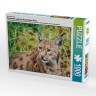 CALVENDO Puzzle CALVENDO Puzzle Faszination Luchs im Bayerischen Wald Пазл CALVENDO Puzzle Очарование рыси в Баварском лесу