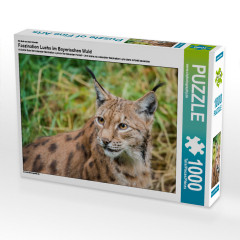 CALVENDO Puzzle CALVENDO Puzzle Faszination Luchs im Bayerischen Wald Пазл CALVENDO Puzzle Очарование рыси в Баварском лесу