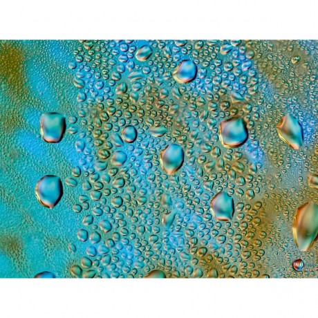 CALVENDO Puzzle CALVENDO Puzzle Aquarelle 4.0 Пазл CALVENDO Puzzle Watercolors 4.0