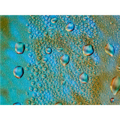 CALVENDO Puzzle CALVENDO Puzzle Aquarelle 4.0 Пазл CALVENDO Puzzle Watercolors 4.0