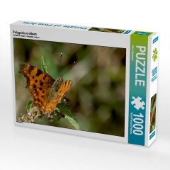 CALVENDO Puzzle CALVENDO Puzzle Polygonia c-album Пазл CALVENDO Puzzle Polygonia c-album
