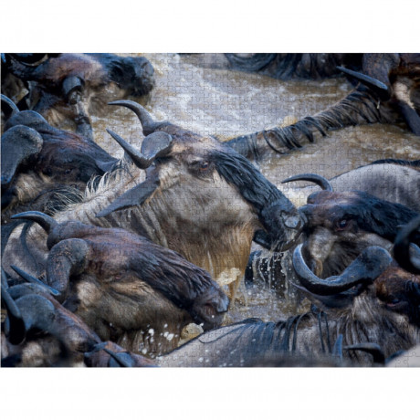 CALVENDO Puzzle CALVENDO Puzzle Emotionale Momente: Die grosse Gnuwanderung Пазл CALVENDO Puzzle Эмоциональные моменты: Великая миграция антилоп гну