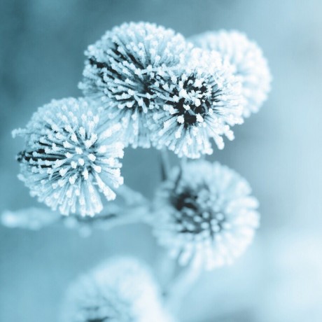 Polaar ICYMAGIC Augen Roll-On ICYMAGIC Eye Roll-On