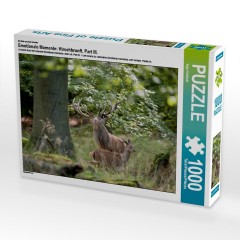 CALVENDO Puzzle CALVENDO Puzzle Emotionale Momente: Hirschbrunft. Part III. Пазл CALVENDO Пазл Эмоциональные моменты: Оленья гонка. Часть 3