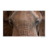 CALVENDO Puzzle CALVENDO Puzzle Emotional Moments: Die Augen der Tiere. UK-Version Пазл CALVENDO Puzzle Emotional Moments: Глаза животных. версия для Великобритании