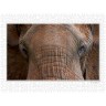 CALVENDO Puzzle CALVENDO Puzzle Emotional Moments: Die Augen der Tiere. UK-Version Пазл CALVENDO Puzzle Emotional Moments: Глаза животных. версия для Великобритании