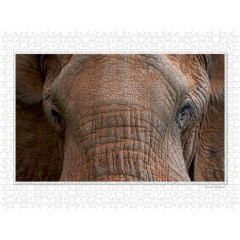 CALVENDO Puzzle CALVENDO Puzzle Emotional Moments: Die Augen der Tiere. UK-Version Пазл CALVENDO Puzzle Emotional Moments: Глаза животных. версия для Великобритании
