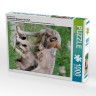 CALVENDO Puzzle CALVENDO Puzzle Emotionale Momente: Der Wolf. Пазл CALVENDO Пазл Эмоциональные моменты: Волк.