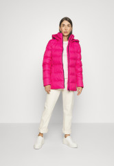Tommy Hilfiger BAFFLE Down coat eccentric magenta BAFFLE Пуховик эксцентричный пурпурный