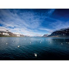 CALVENDO Puzzle CALVENDO Puzzle Beautiful Nature Пазл CALVENDO Puzzle Красивая Природа