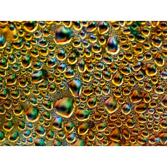 CALVENDO Puzzle CALVENDO Puzzle Pandora Пазл CALVENDO Пазл Пандора