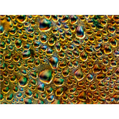 CALVENDO Puzzle CALVENDO Puzzle Pandora Пазл CALVENDO Пазл Пандора