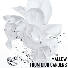 DIOR 2 In 1 Sorbet Water 2 в 1 сорбетная вода